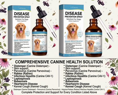 Disease Prevention Spray for Dogs Canine Distemper (Care Disease)  Canine Parvovirus (Parvo) Rabies Exposure Risks Canine Infectious Hepatitis (CAV-1) Leptospirosis Babesiosis Heartworm Disease Risks Kennel Cough